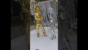 Зеркальный человек